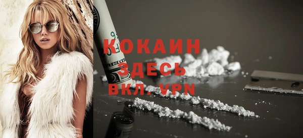 стафф Россошь
