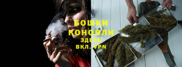 стафф Россошь