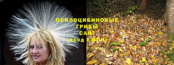 Альфа ПВП Рославль