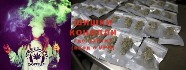 Альфа ПВП Рославль